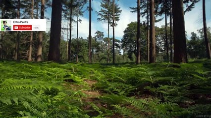 समंदर किनारे लेटा था भयानक जानवर देखकर लोगो के पसीने छुटगए ....Strange Creature Found