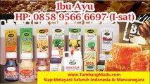 Telp 0858 9566 6697 (AXIS) Jual Madu Curah Bandung