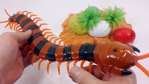 Contrôle géant réaliste éloigné examen scolopendre jouet sans fil oeufs de dinosaures jouets sans fil centipede réelle décoration du pposongyi de sable