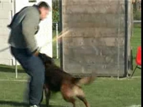 Virus au championnat du Nord 2007