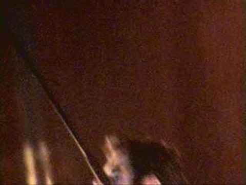 suite 2 Patrick Fiori Calais