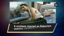 5 civilians injured as Pakistan violates ceasefire along LoC