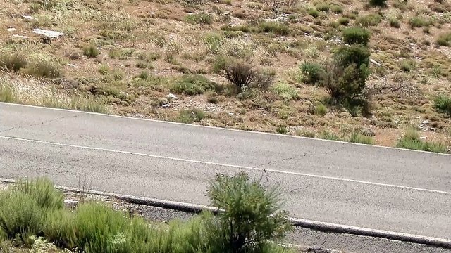 La BMW M5 de 600 ch embarque une transmission intégrale