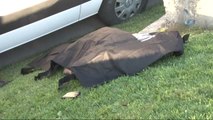 Zeytinburnu'nda Yol Kenarında Erkek Cesedi Bulundu