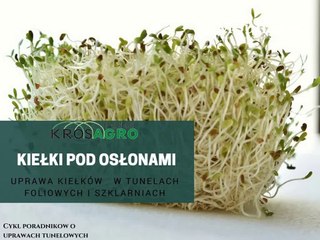 Uprawa kiełków pod osłonami w tunelu foliowym