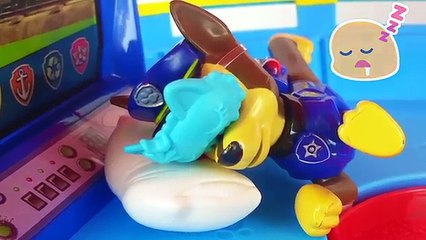 PATRULHA CANINA COM CATAPORA TOMA INJEÇÃO EM PORTUGUES CAPITULO COMPLETO