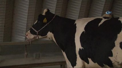 En Büyük Kurbanın Pazarlığına Başkan Desteği