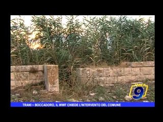 Trani | Boccadoro, il WWF chiede l'intervento del Comune