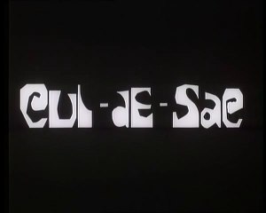 Cul-de-sac (1966) French Version (480p_25fps_H264-128kbit_AAC)