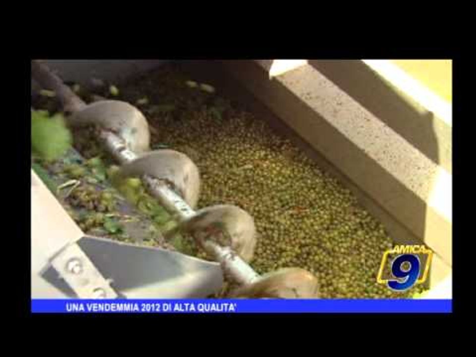 Una vendemmia 2012 di alta qualità