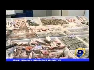 Pesca | Caracciolo: "Marchio DOP e mercati ittici"