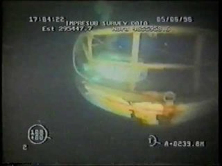 TG 05.09.13 Molfetta, Francesco Padre: per non dimenticare