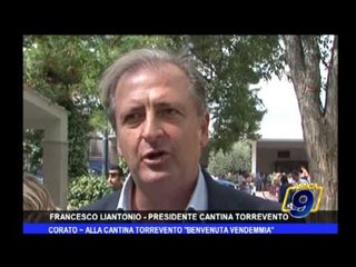 Corato | Alla cantina Torrevento "benvenuta vendemmia"