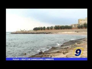 Puglia | I reati che danneggiano