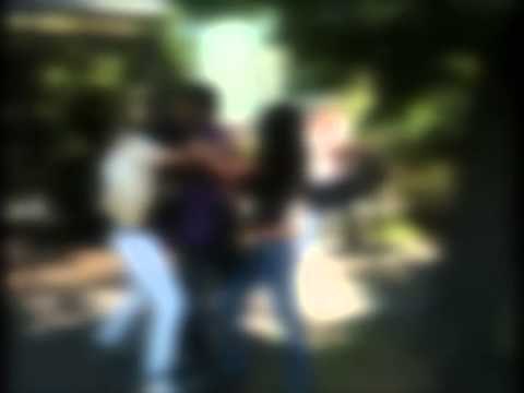 TG 27.09.13 Rissa al femminile nel quartiere Libertà. Coinvolte una ventina di donne