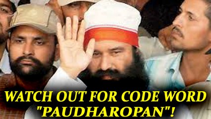 Ram Rahim verdict: Police to watch out for code word from Baba supporters | Oneindia News