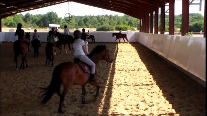 Equitation