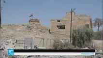 الجيش العراقي يستعيد السيطرة على كل أحياء تلعفر