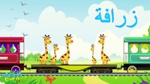 Animaux arabe pour dans enfants Les noms des animaux pour les enfants en langue arabe