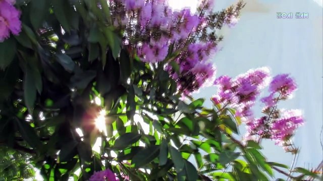 Vợ chồng sống với nhau muốn hạnh phúc, hưng thịnh, phải nhớ hai chữ tu khẩu