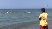 Ordu Plajlarında 108 Kişi Boğulmaktan Kurtarıldı