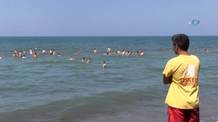Ordu Plajlarında 108 Kişi Boğulmaktan Kurtarıldı