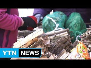 '식용 유황'·'가짜 백수오'...건강 위협 조심 / YTN