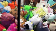 Claw Machine The Secret Life of Pets Duke and Mel Wins Video | Claw Therapy | Smith Sister