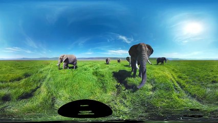 VR Headset 360 degree video