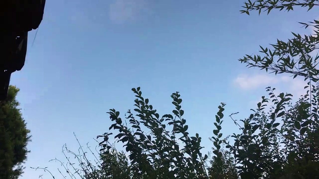 サンタモニカ  Santa Monica UFO Sighting
