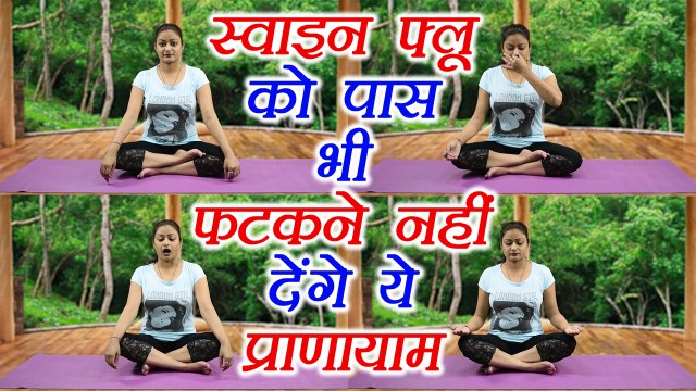 Yoga for Swine Flu | Pranayama to get relief | स्वाइन फ्लू में आराम देगा ये प्राणायाम | Boldsky