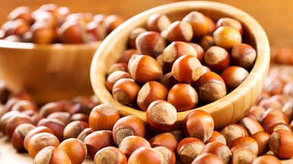 Fındık Borsası 8 Eylül'de Açılacak