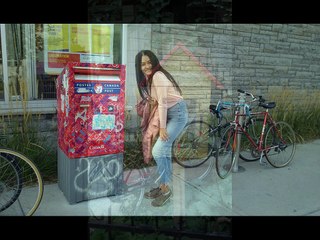 Ma cabane au Canada (Août 2017)