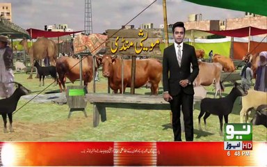 Police Officers k ghr Govt ki Gari Main Bakry Ja Rhy hn