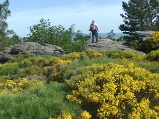 Autour des Roches Marlin 657 m - Châteauneuf  42800 Parc du Pilat