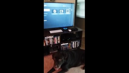 Il commande ses robots de maison entre eux : Alexa et Roomba !