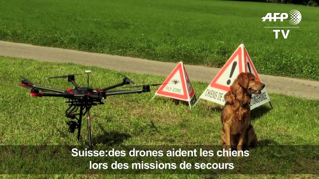 Suisse:des drones aident les chiens lors des missions de secours