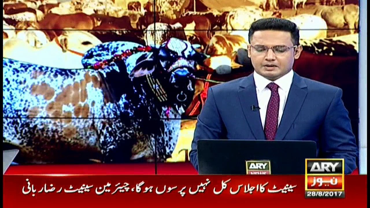 News @ 6 - 28th August 2017