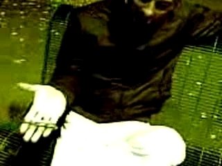 pok le modeste interviewé par le trio infernal