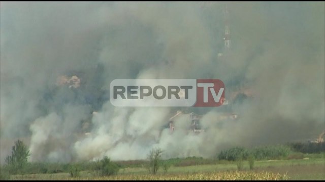 Report TV - Fushë Krujë-Milot, zjarr në zonën këneta e Luzit, rrezikohen shtëpi