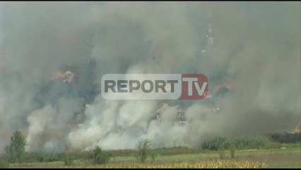 Report TV - Fushë Krujë-Milot, zjarr në zonën këneta e Luzit, rrezikohen shtëpi