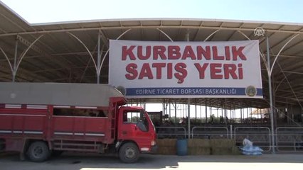 İhaleyle Satılan Kurbanlıklar İstanbul'a Yola Çıkıyor