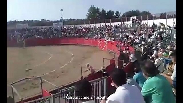 Un taureau se charge contre un militant anti-corrida dans une arène à Carcassonne