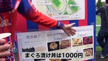 大好きなFC東京を本気で応援してきた vs 柏レイソル(2017/5/14)