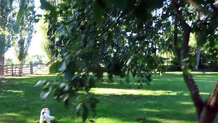 My WEEKEND! Home Cooking & Chilling with the Family