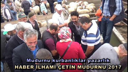 MUDURNU'DA KURBANLIKLARA SIKI PAZARLIK