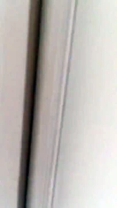 Cat Caught Watching Music Videos