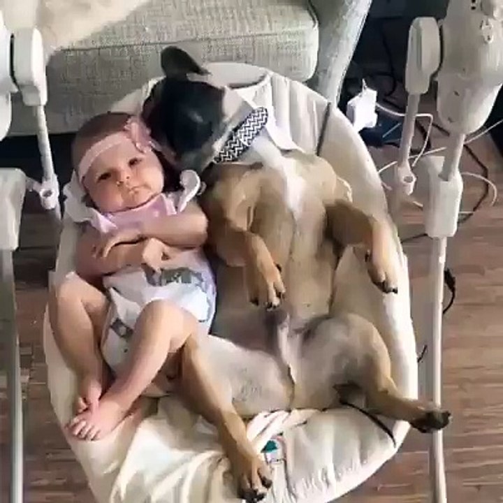 loool funny video