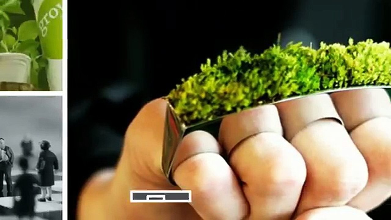 Pushleads - Local Seo Company Asheville NC