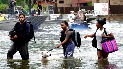 US: Tropical Storm Harvey displaces 30,000 in Texas